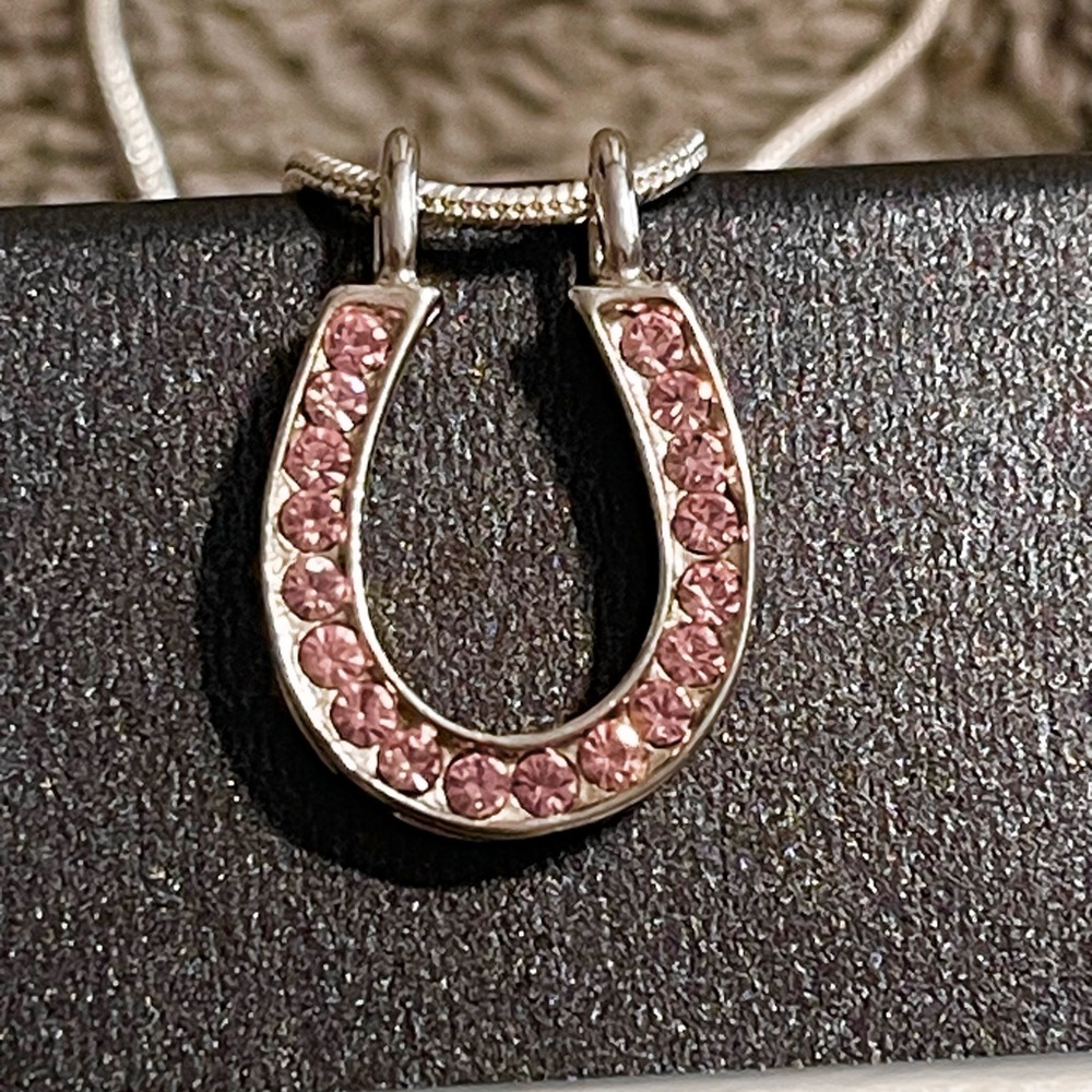 Pink Rhinestone Horseshoe On A Silver Necklace.